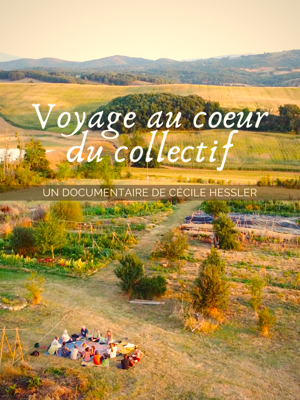 Voir Voyage Au Coeur Du Collectif Sur Imago Tv